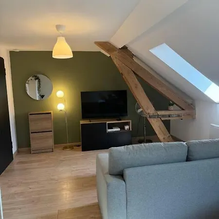 Appartement Le Petit Nid De - Parking Privé Colmar