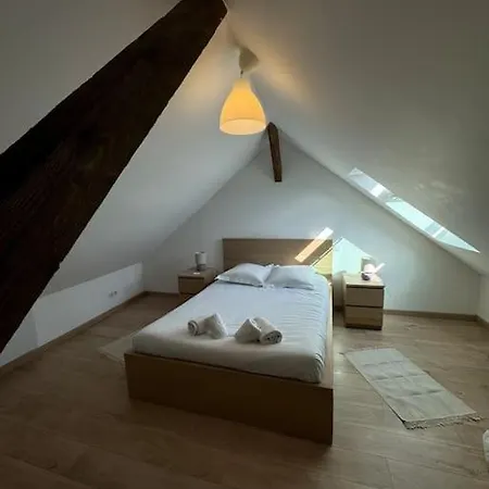 Le Petit Nid De - Parking Prive * コルマール