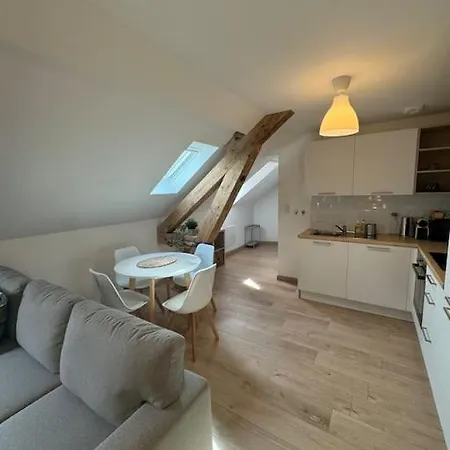 Apartment Le Petit Nid De - Parking Prive Colmar